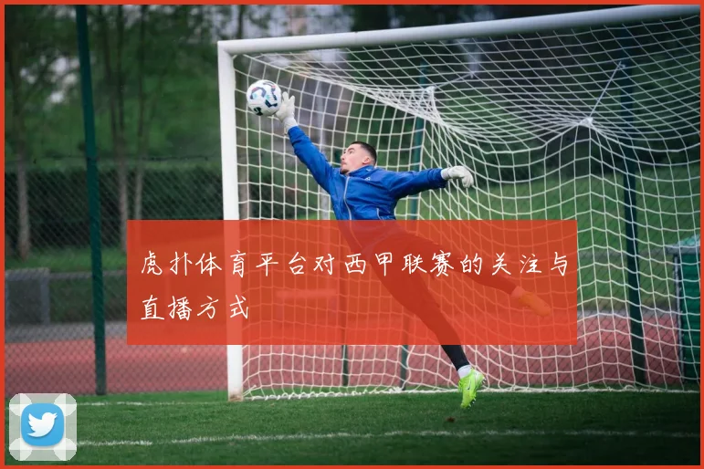 虎扑体育平台对西甲联赛的关注与直播方式